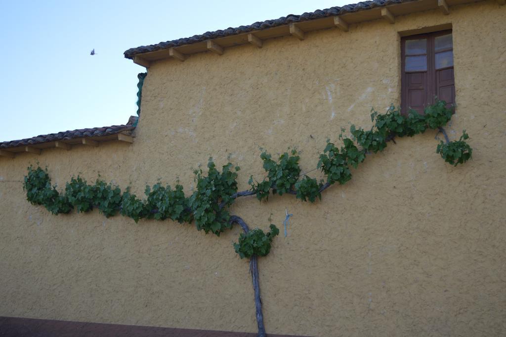 Casa Rural Los Lláganos Villaturiel Esterno foto